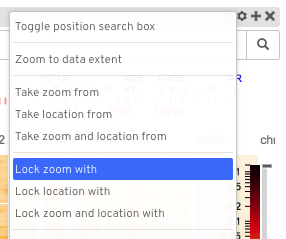 _images/lock_zoom_with.png